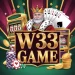 w33 game